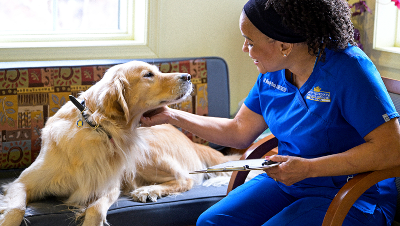 Crown Vet hero