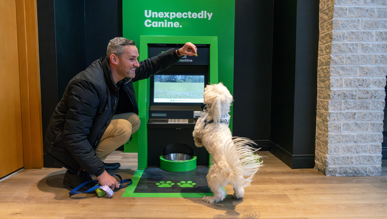 Dogatm hero
