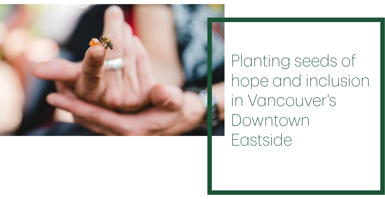 Links off to story Planting seeds of hope and inclusion in Vancouver's Downtown Eastside