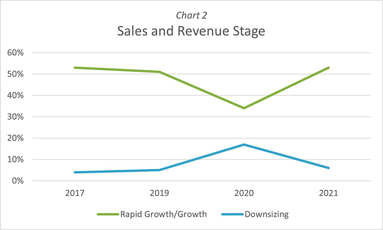 graph of sales and revenue stage