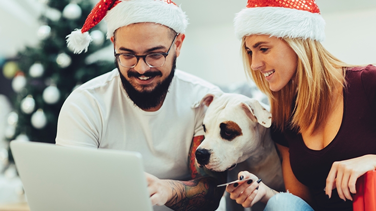 couple sitting looking at laptop with dog