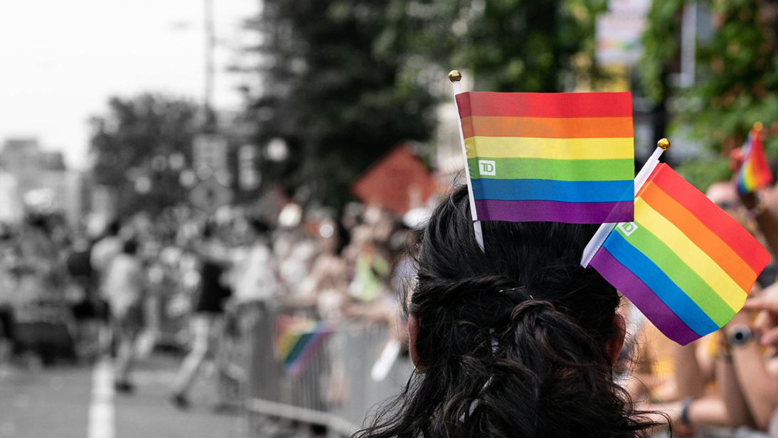 girl at pride parade with TD pride flags in her hair