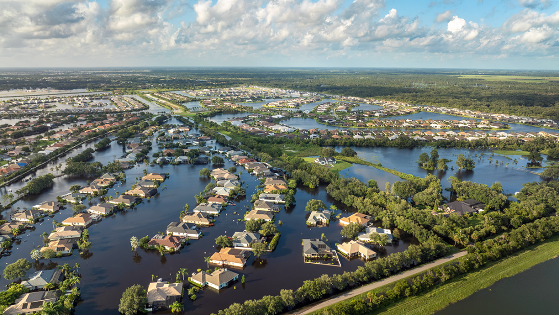 Weatheringthestorm hero