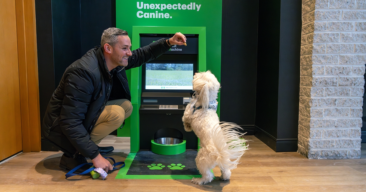 Unexpectedly Canine – TD Bank's Dog ATM | TD Stories | TD Stories