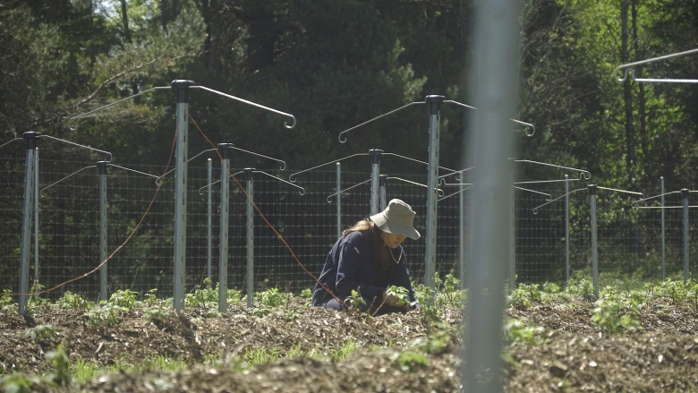 Hero- How the Bishop's campus farm plants new ideas