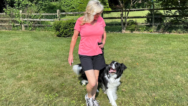 Dogtraining hero