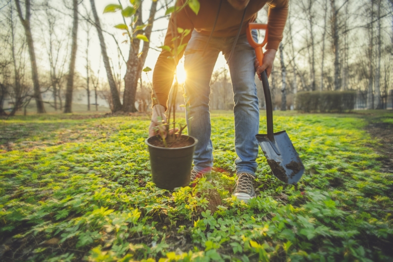 Header How TD Tree Days brings new life to Langley 1