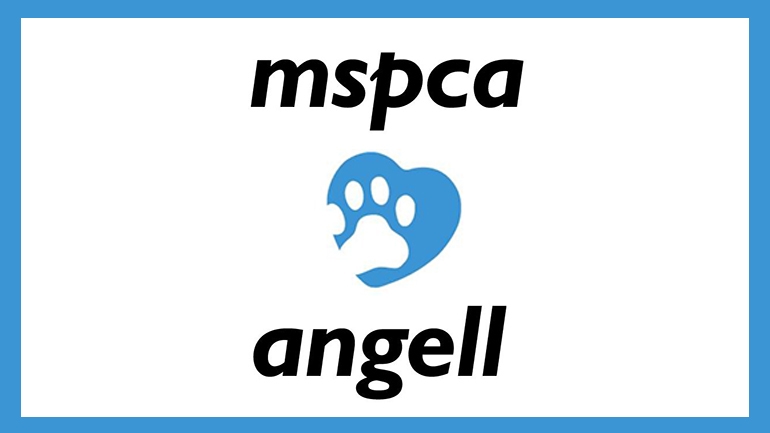 MSPCA Building