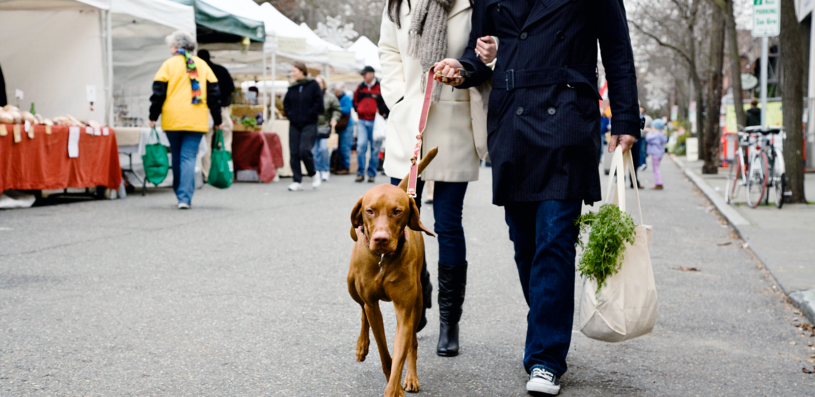 two people walking a dog through a farmer's market