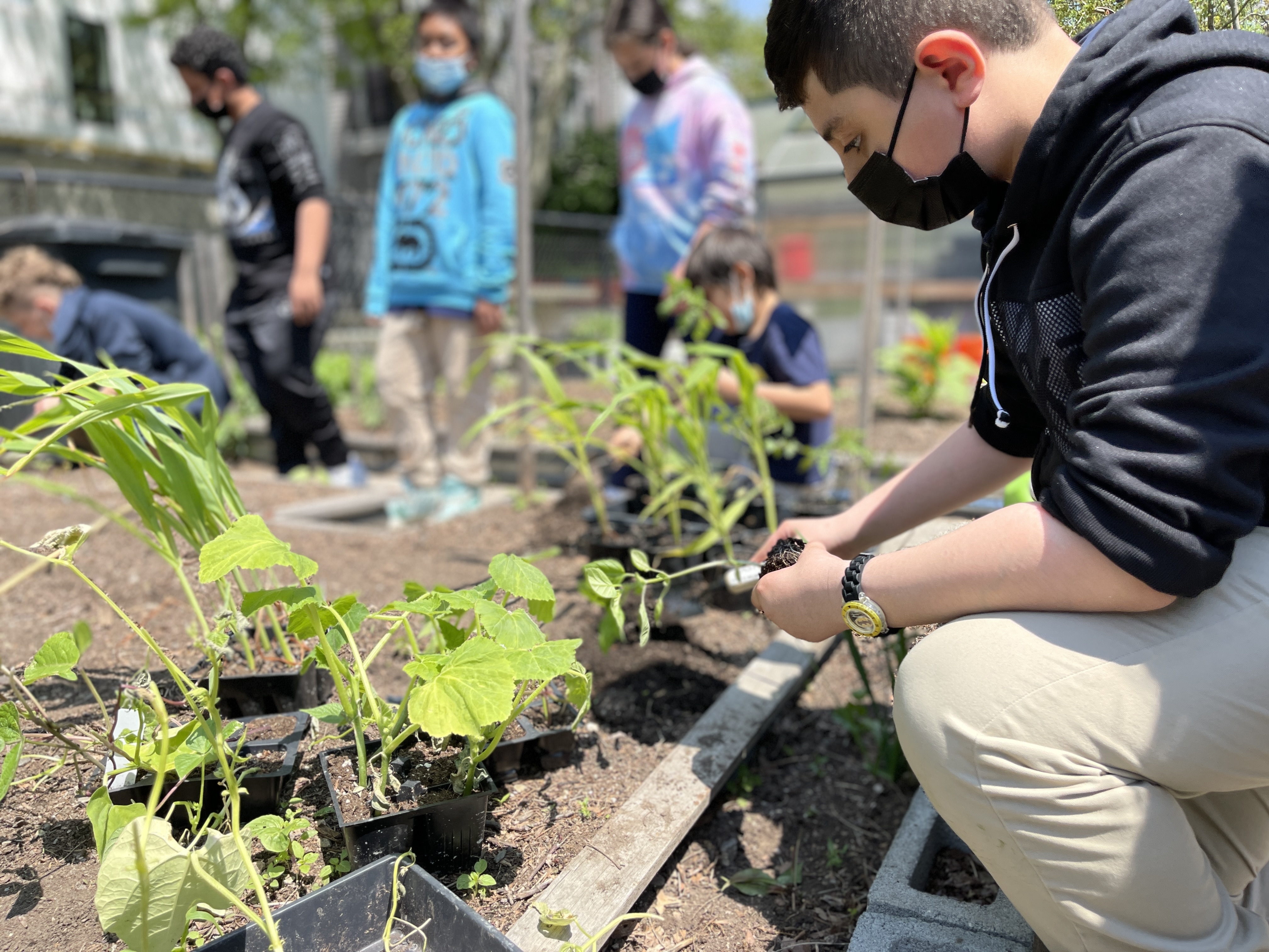 Children planting outside